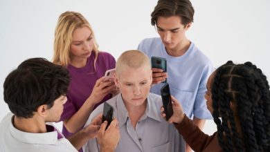 Photo of PHAROS, THESEE ou Cybermalveillance : Quel site choisir pour vos besoins de cybersécurité ?